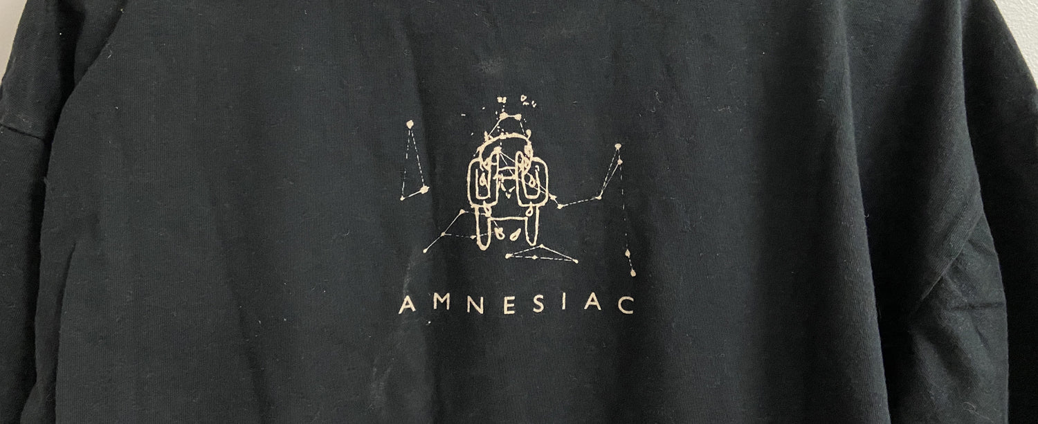 Amnesiac - Image 4