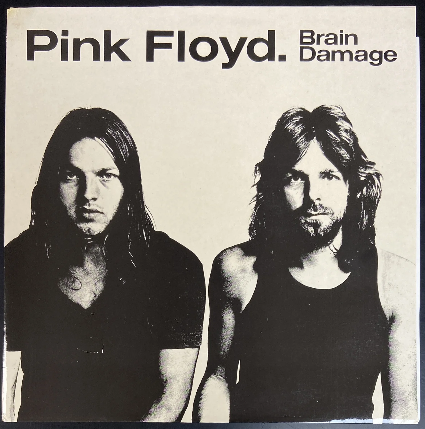 Brain Damage